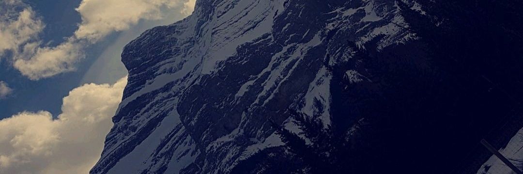 Genevieve Ente banner