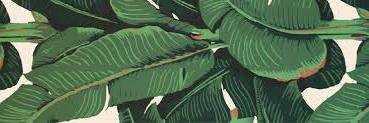 Brianne T banner