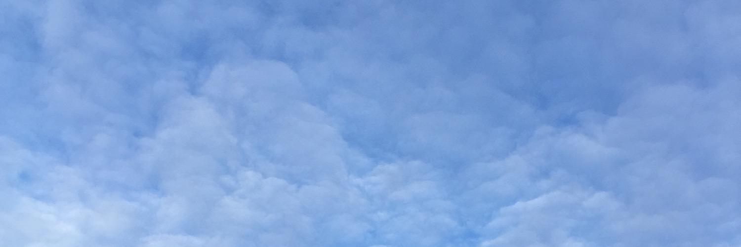 calstugre's profile banner image