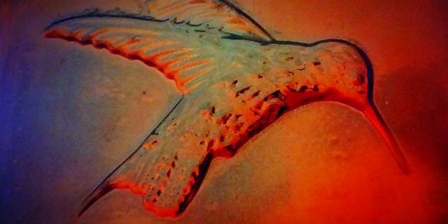 AndyJLawrence's profile banner image