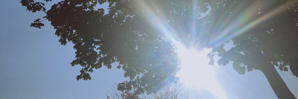 hindmarshxo's profile banner image