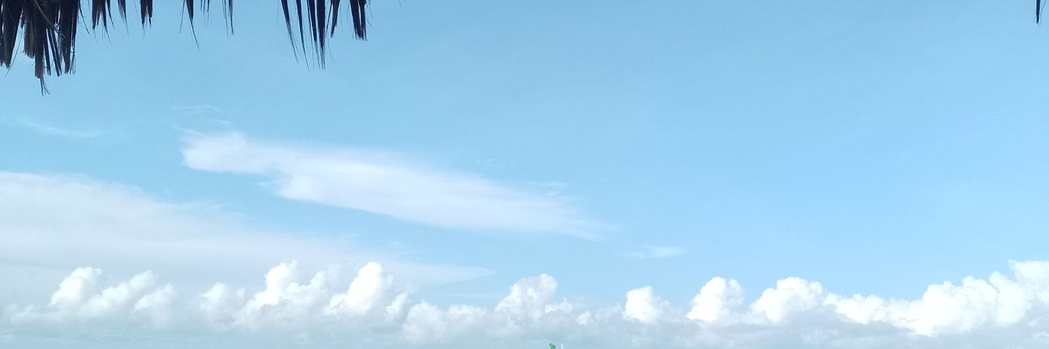 abejarocket1's profile banner image