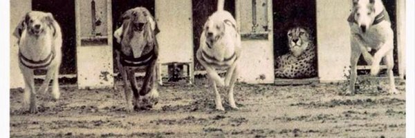 SigitsDuduris Profile Banner