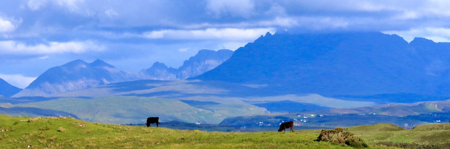 Duncan MacLeod banner