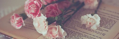 valee_oteiza's profile banner image