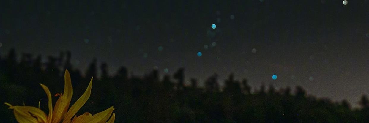 nعبدالله banner