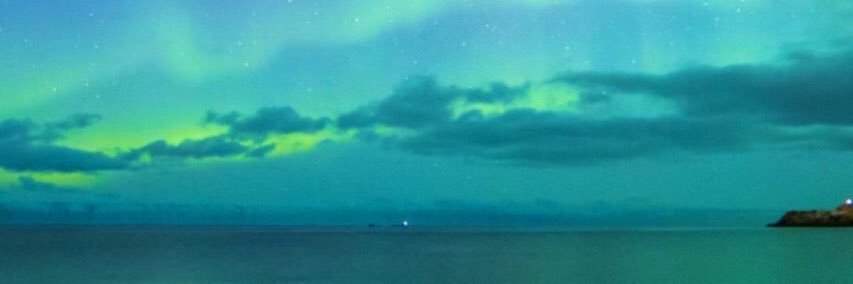 Lenatierna's profile banner image