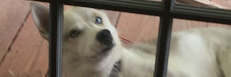 jarodcarter_'s profile banner image
