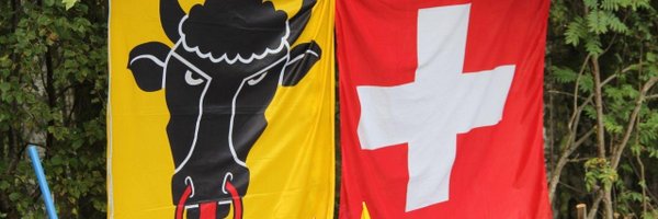 Indergandli Profile Banner