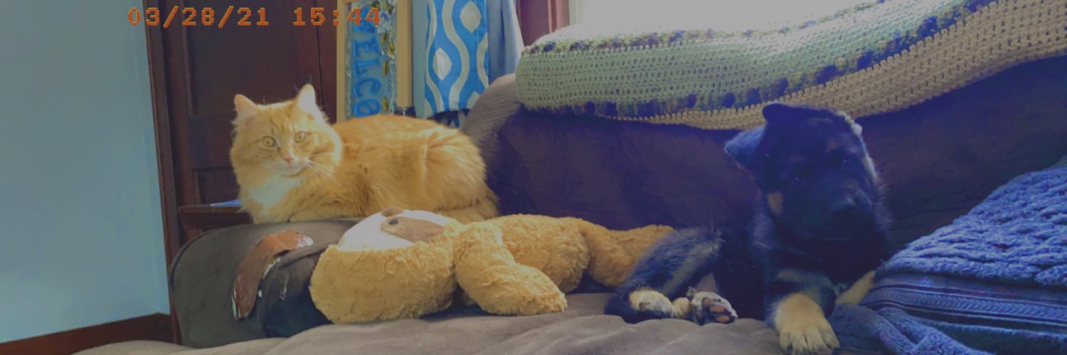 sarcaazm's profile banner image