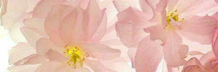 _Fompee's profile banner image