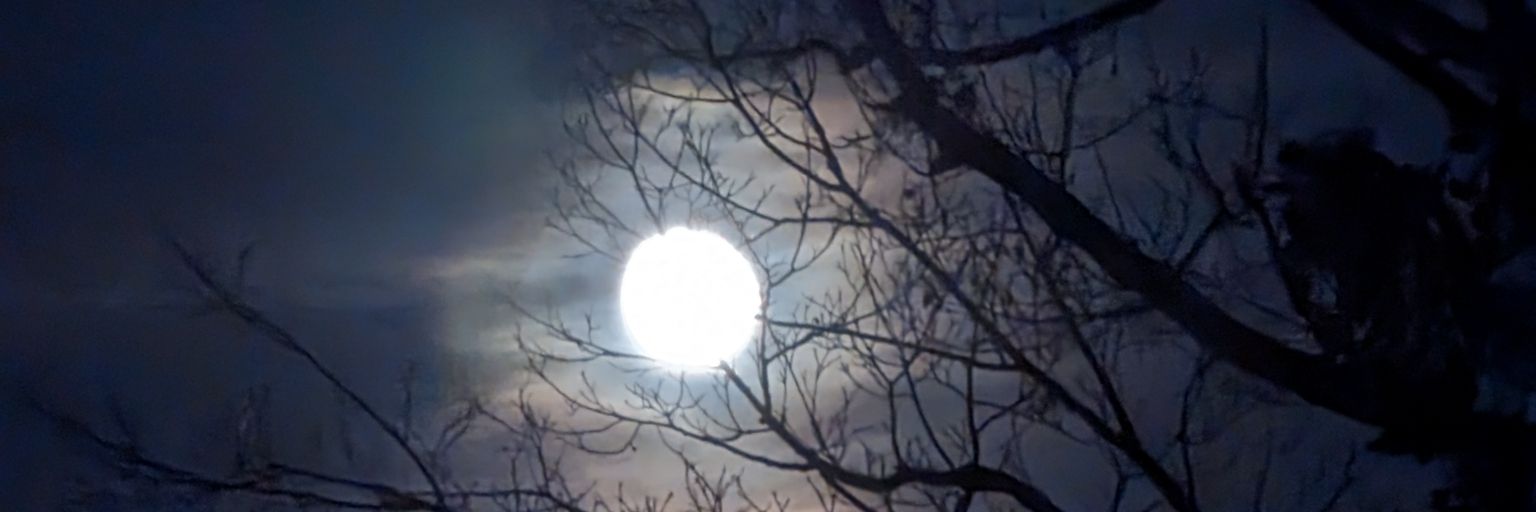 KeepTrevorAlive's profile banner image