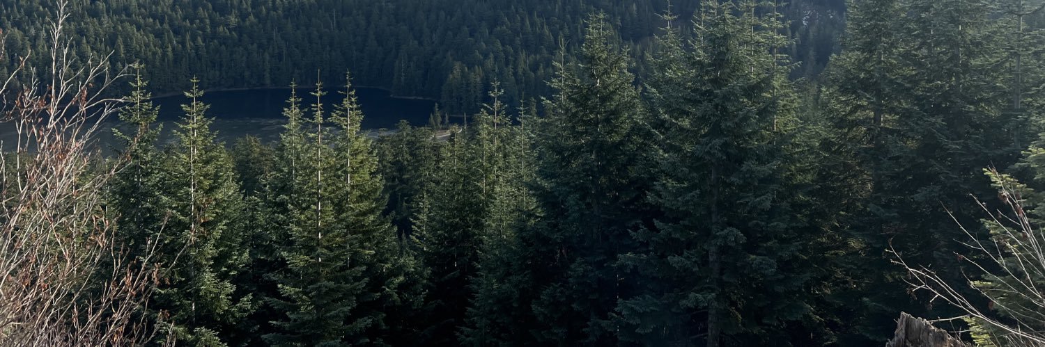 SarahDaffern's profile banner image