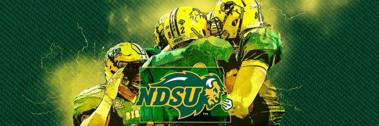 bisonville's profile banner image