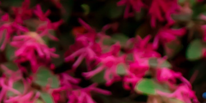 Remarkable_Rave's profile banner image