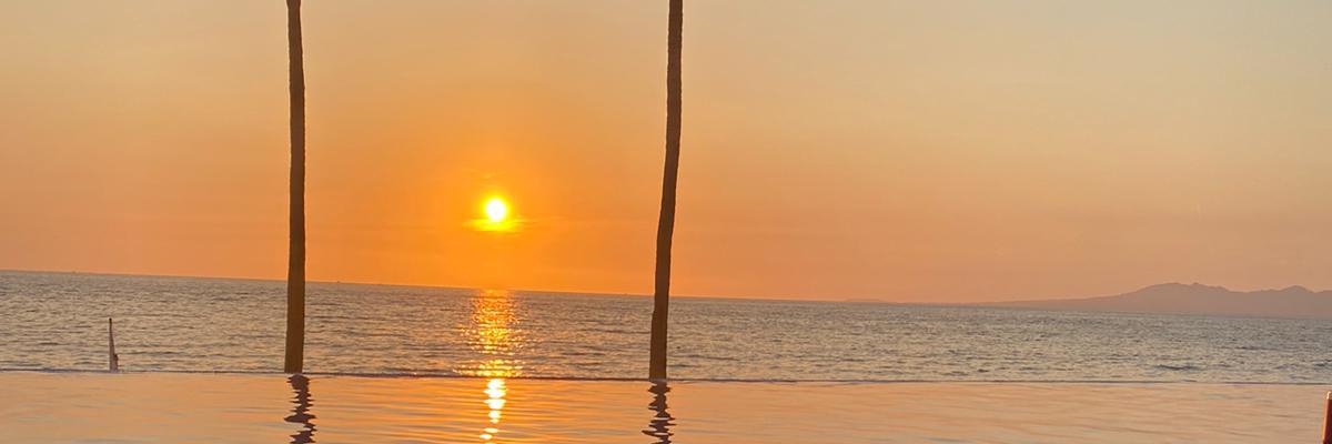 monimouns's profile banner image