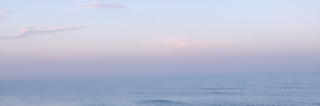 lauren_libbey's profile banner image