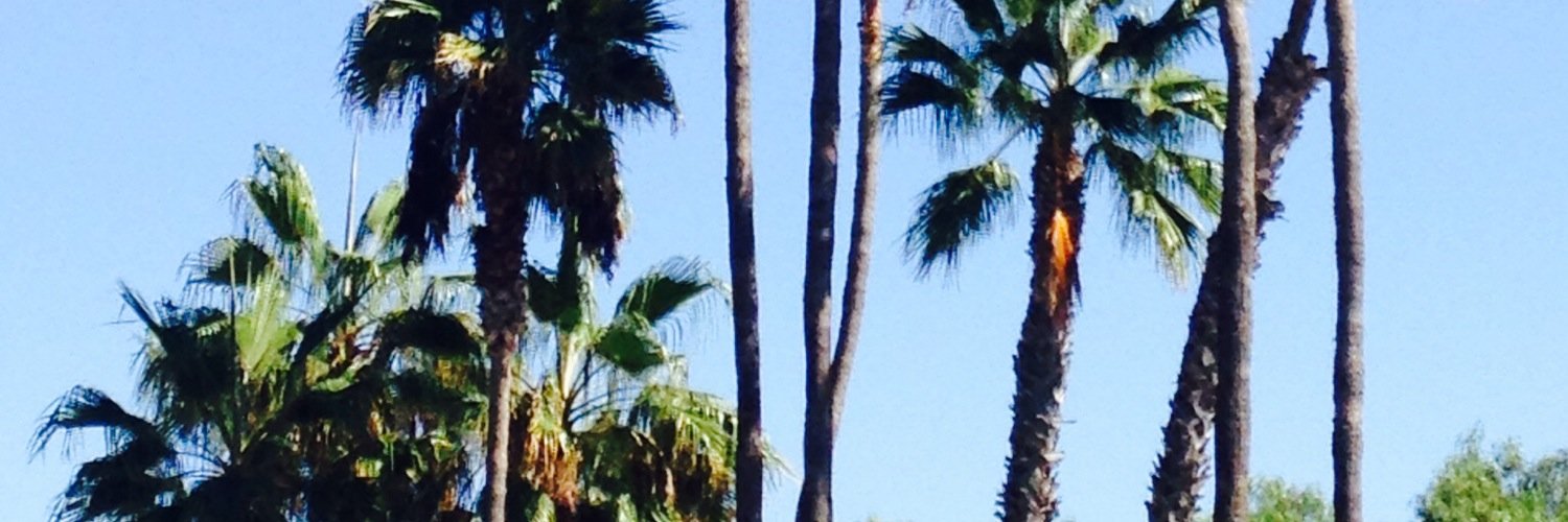 __andreacastro's profile banner image