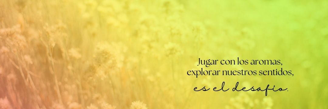 ValeriaLauraH's profile banner image
