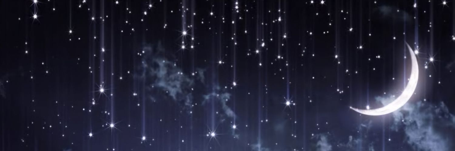 bigbeeshaaaa's profile banner image