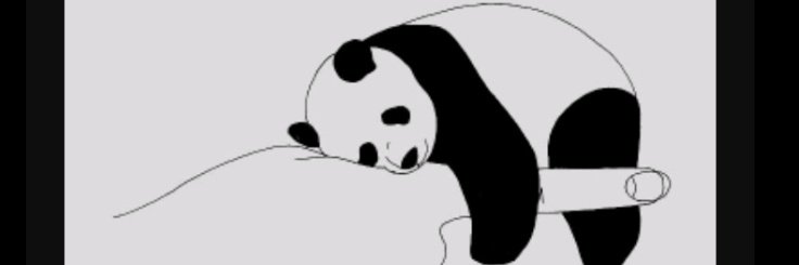 MEH_is_panda's profile banner image