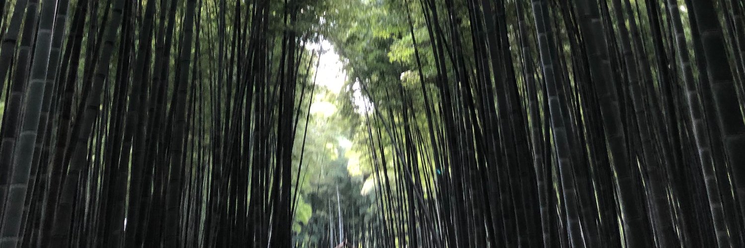 kanep009's profile banner image