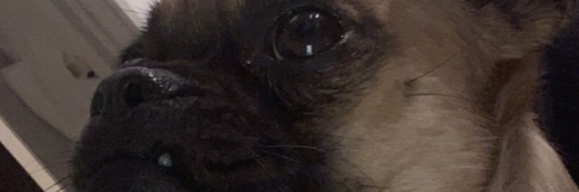 Vmorhac's profile banner image