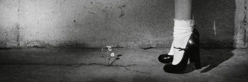 X Æ A-Xii 💐 banner