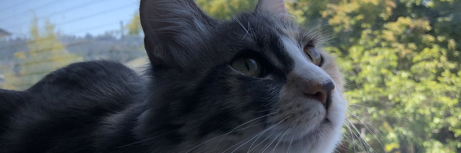 monaxhowell's profile banner image
