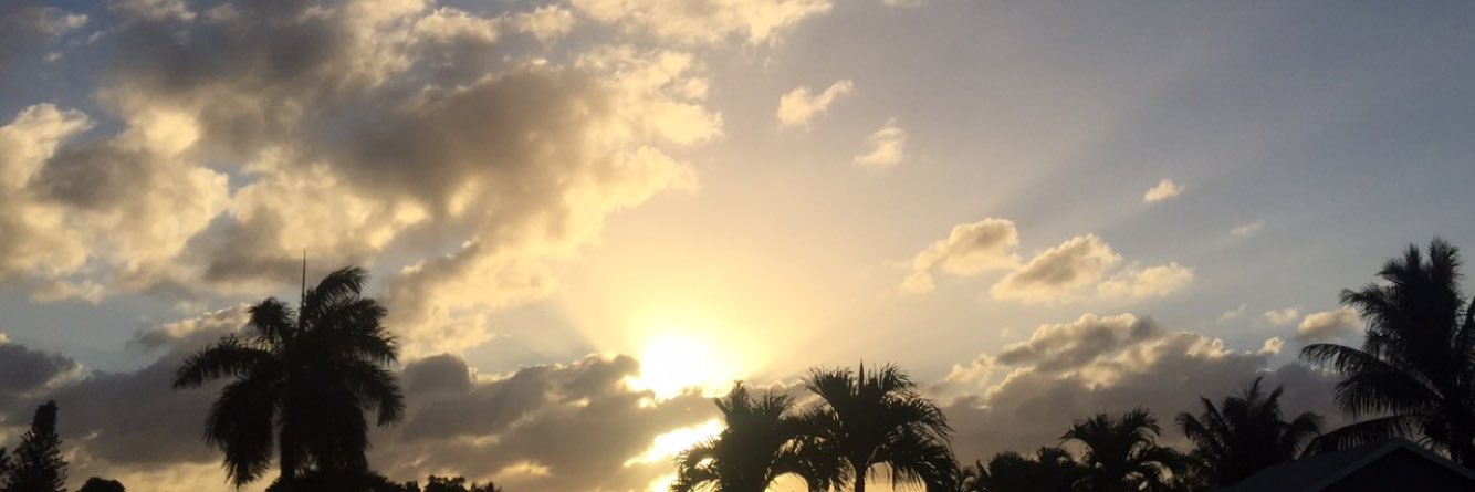 Bumseex's profile banner image