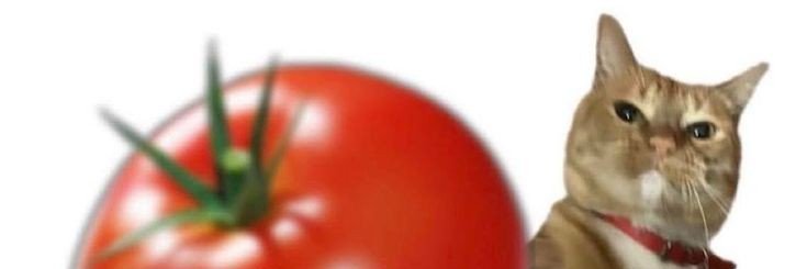 jitomatito03's profile banner image