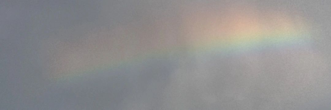 cinnamon_coast's profile banner image
