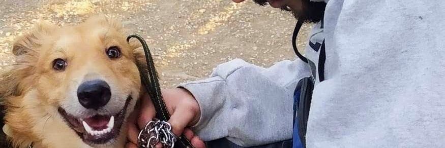 AlexakisGate7's profile banner image