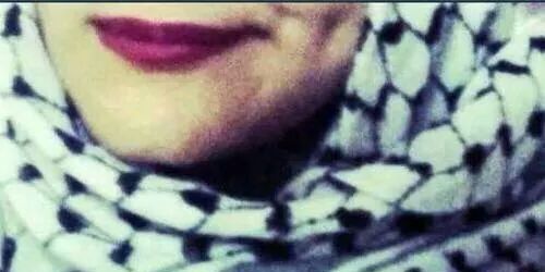alaa_palestine's profile banner image