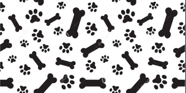 sami_scout's profile banner image
