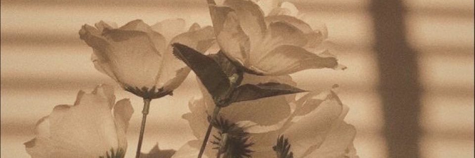 Raechelz's profile banner image