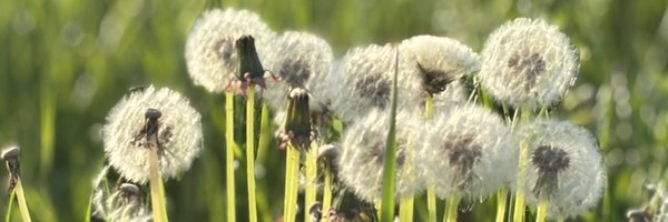 scots_journey Profile Banner