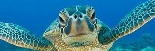 AMESeinsteins Profile Banner