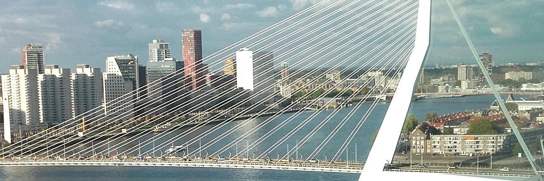 saskiawee's profile banner image