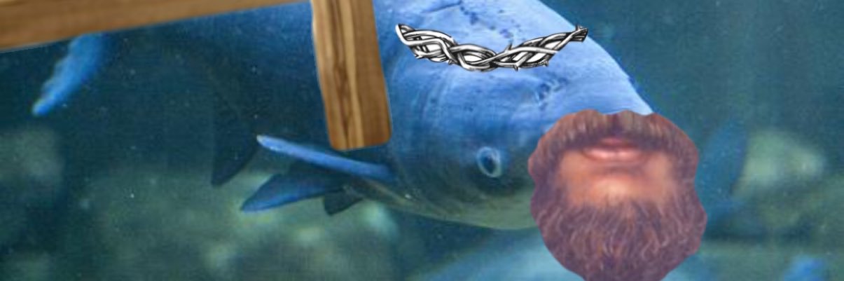 canthackpat's profile banner image