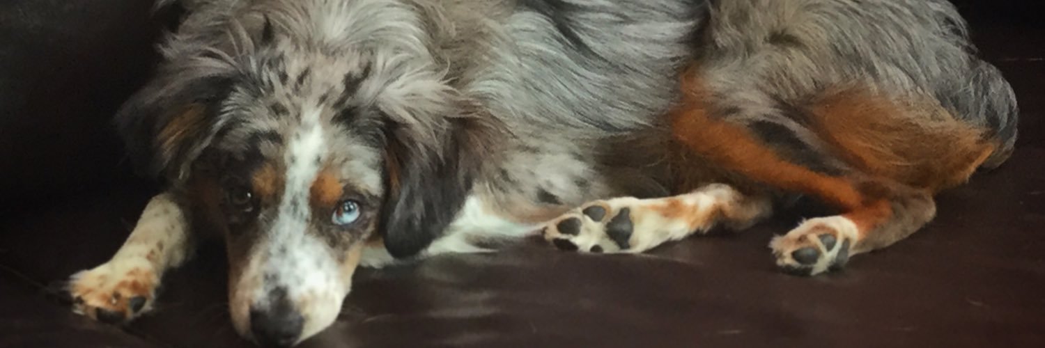 renaesummers's profile banner image