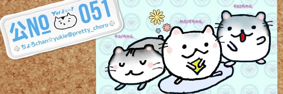 pretty_choro's profile banner image