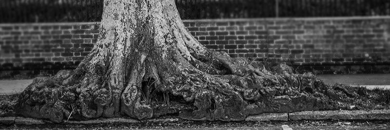 Http_Recovery's profile banner image