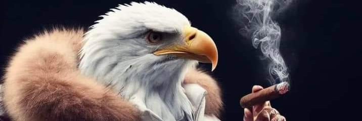 andyclyde55's profile banner image