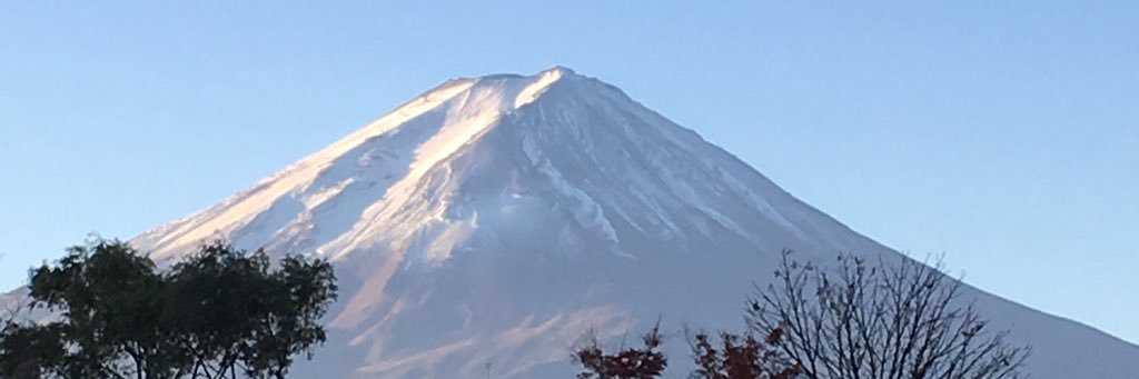 shingou6628's profile banner image