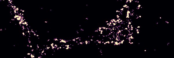 piponunesv Profile Banner