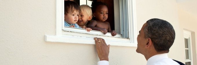 Organic Democrat banner