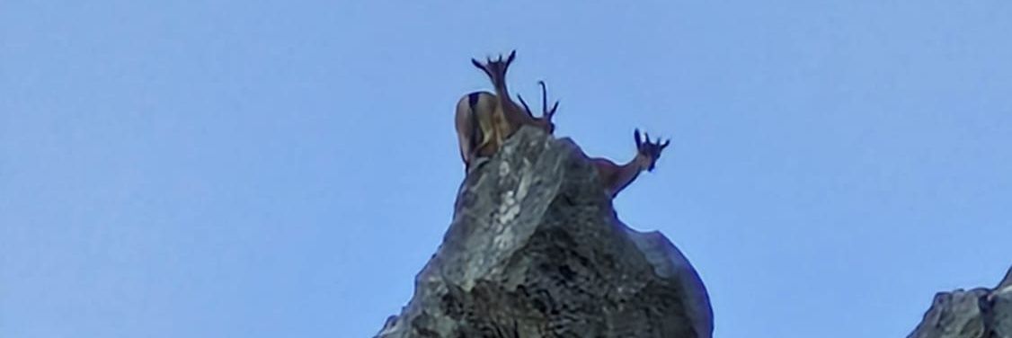 mfatihkaplan's profile banner image