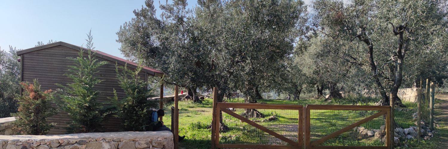 Panormos. 🇹🇷⚓ banner