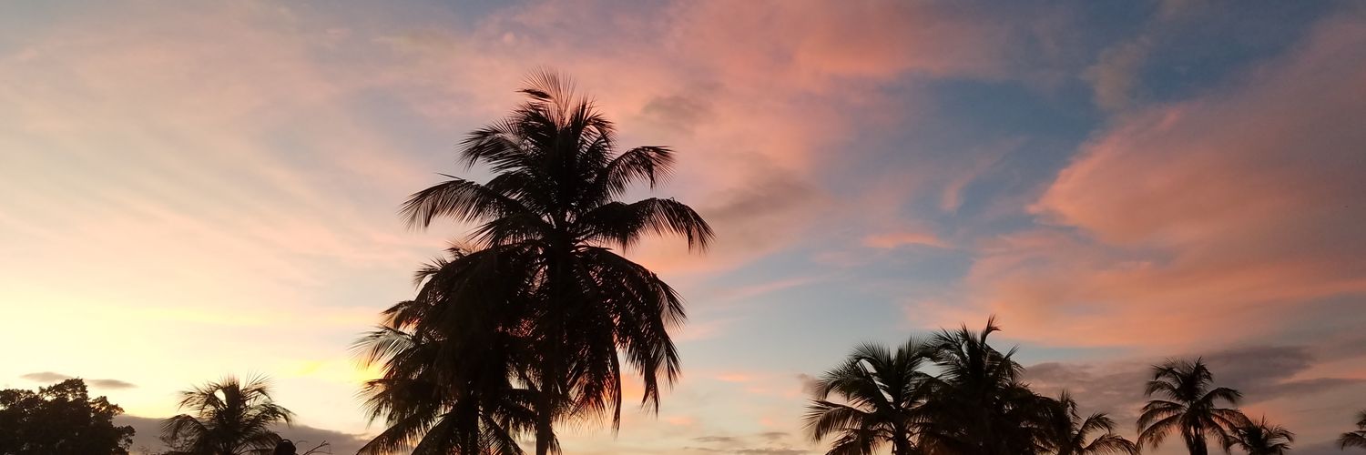 Francelislopm's profile banner image